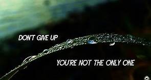 Peter Gabriel & Kate Bush - Don't Give Up [Lyrics]