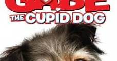 Gabe the Cupid Dog (2012) Online - Película Completa en Español - FULLTV