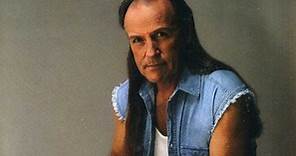 Mark Farner - For The People