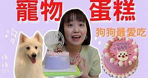 教你製作超簡易又漂亮的『寵物蛋糕』！狗狗超愛吃😍竟然只用馬鈴薯、雞胸肉就能做出美麗蛋糕