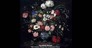 The Wild Swans - The Coldest Winter For A Hundred Years (Full Album)