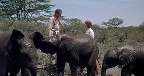 Hatari! - Elephants (Hawks, 1962)