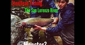 Steelhead fishing in the San Lorenzo River