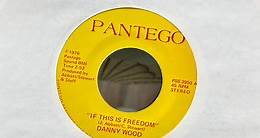Danny Wood - If This Is Freedom