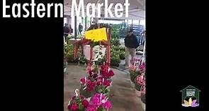 Flower Day Eastern Market 2023
