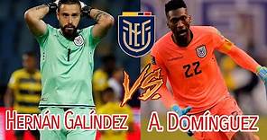 A. Domínguez vs Hernan Galíndez Mejores Atajadas • ¿Cuál es el mejor para la selección?