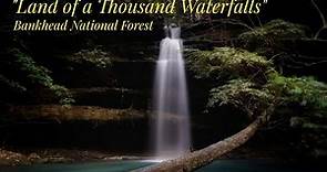 "Land of a thousand waterfalls" -William B. Bankhead National Forest