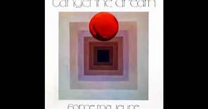 Tangerine Dream - Force Majeure (1979) FULL ALBUM