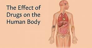 The Effect of Drugs on the Human Body | AnatomyStuff