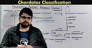 Classification of Chordates (Kingdom Animalia)