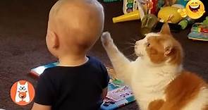 Videos Graciosos de Gatos y Bebés 😂 Bebés y Gatitos Creciendo Juntos || Espanol Funniest Videos