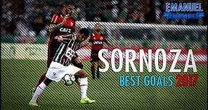 Júnior Sornoza ● Best Skills & Goals ● Fluminense ● 2017 ● HD ●