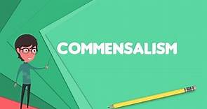 What is Commensalism? Explain Commensalism, Define Commensalism, Meaning of Commensalism