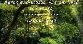 Bible | Exodus 6:20 | Amram married his fathers sist...