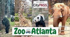 Zoo Atlanta 2022, Georgia | A short tour on one of the City Pass Atlanta options