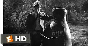 To Kill a Mockingbird (9/10) Movie CLIP - Boo is a Hero (1962) HD