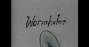 Stephen Hillenburg - Wormholes