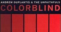 Andrew Duplantis & The Unfaithfuls - Colorblind