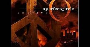 A Perfect Circle- Peace, Love, And Understanding