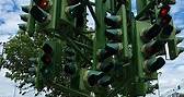 Lo sapevi che a Londra c'è un albero fatto di semafori, tutti accesi? Ecco il Traffic Light Tree! 🚦🚥