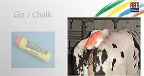 Chalk (detecção de cios) - ABS Pecplan