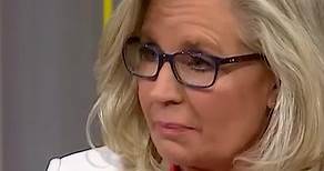 In her new book “Oath and Honor”, former congresswoman Liz Cheney details her fears of a second Trump term. According to #Cheney, a second Trump term could give dangerous people, such as Mike Flynn and Steve Bannon, a ticket to the top of government as #Trump further degrades the checks on his executive branch. When asked about which potential danger of a second Trump term keeps her up at night, Cheney replied, “They all do.” | MSNBC
