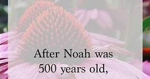 Genesis 5:32 After Noah was 500 years old, he became the father of Shem, Ham and Japheth #bibledaily