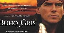 Búho Gris - película: Ver online completa en español