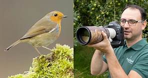Bird Photography for Beginners: 9 Tips with Paul Miguel Photography