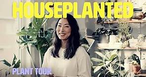 Inside a home that doubles as a houseplant rehab | Houseplanted