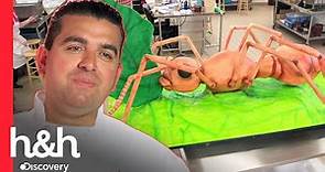 Buddy sorprende con este pastel de hormiga gigante | Cake Boss | Discovery H&H