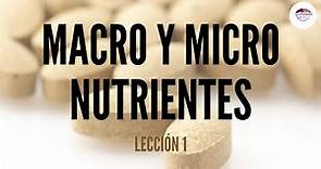 1. CONCEPTOS BÁSICOS DE ALIMENTACIÓN: MACRO Y MICRONUTRIENTES (NUTRICIÓN ORTOMOLECULAR)