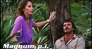 Shooter In The Distance | Magnum P.I.