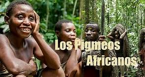 Los Pigmeos Africanos un Pueblo Conocido Por su Baja Estatura | TeofiloMediaTV