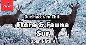 Qué hacer en Chile: Flora y Fauna Sur - Naturaleza Abierta