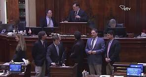Danny McBride recognized by South Carolina legislature