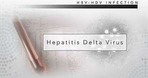 Hepatitis D: CDC Viral Hepatitis Serology Training