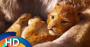 The Lion King (2019) - Vua Sư Tử Live-action - Official Vietsub Teaser Trailer