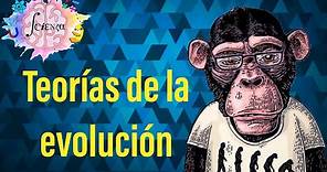 Teorías de la evolución | Fijismo, Lamarck, Darwin-Wallace, Neodarwinismo (teoría sintética)