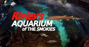 Ripley's Aquarium Gatlinburg, TN