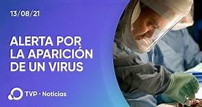 Alerta: reapareció el virus de Marburgo