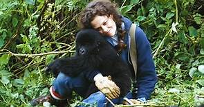 Ver Gorilas en la Niebla 1988 online HD - Cuevana