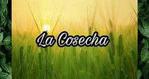La Cosecha - Película Cristiana ( The Harvest - Film of Faith)