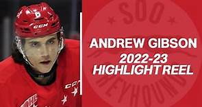 Andrew Gibson (Soo Greyhounds) - 2022-23 OHL Highlights