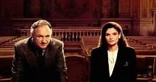 Acción judicial (1991) Online - Película Completa en Español - FULLTV