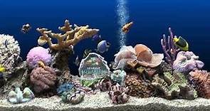 ★ Marine Aquarium ★ HQ 1080p 60fps ★ Screensaver ★ Blue Ocean ★