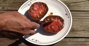 Paul Robeson Heirloom Tomato Review, From Seed to Taste Test.