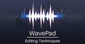 Best Editing Techniques | WavePad Audio Editor Tutorial