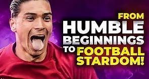 The Incredible Story Of Liverpool's Darwin Nunez | Best Goals & Football Miracles