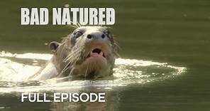 Rare Otter Encounter Takes Shocking Turn | Bad Natured | BBC Earth